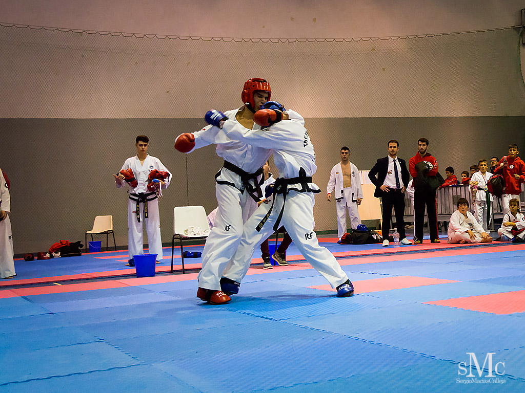 COPA SEUL, 2017  (225).JPG